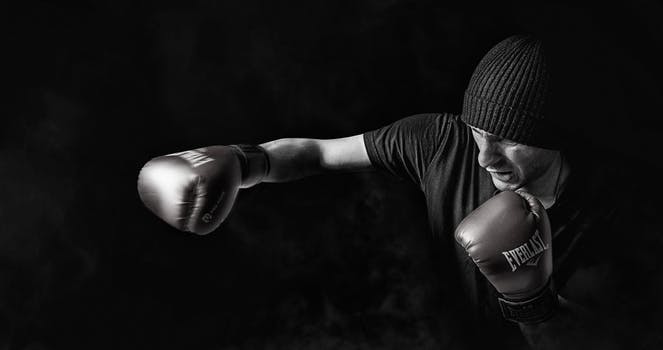 Knock out the competition with RhinoFit boxing gym management software